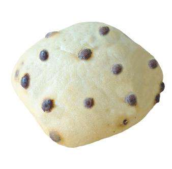Ciabatta Choco 70g